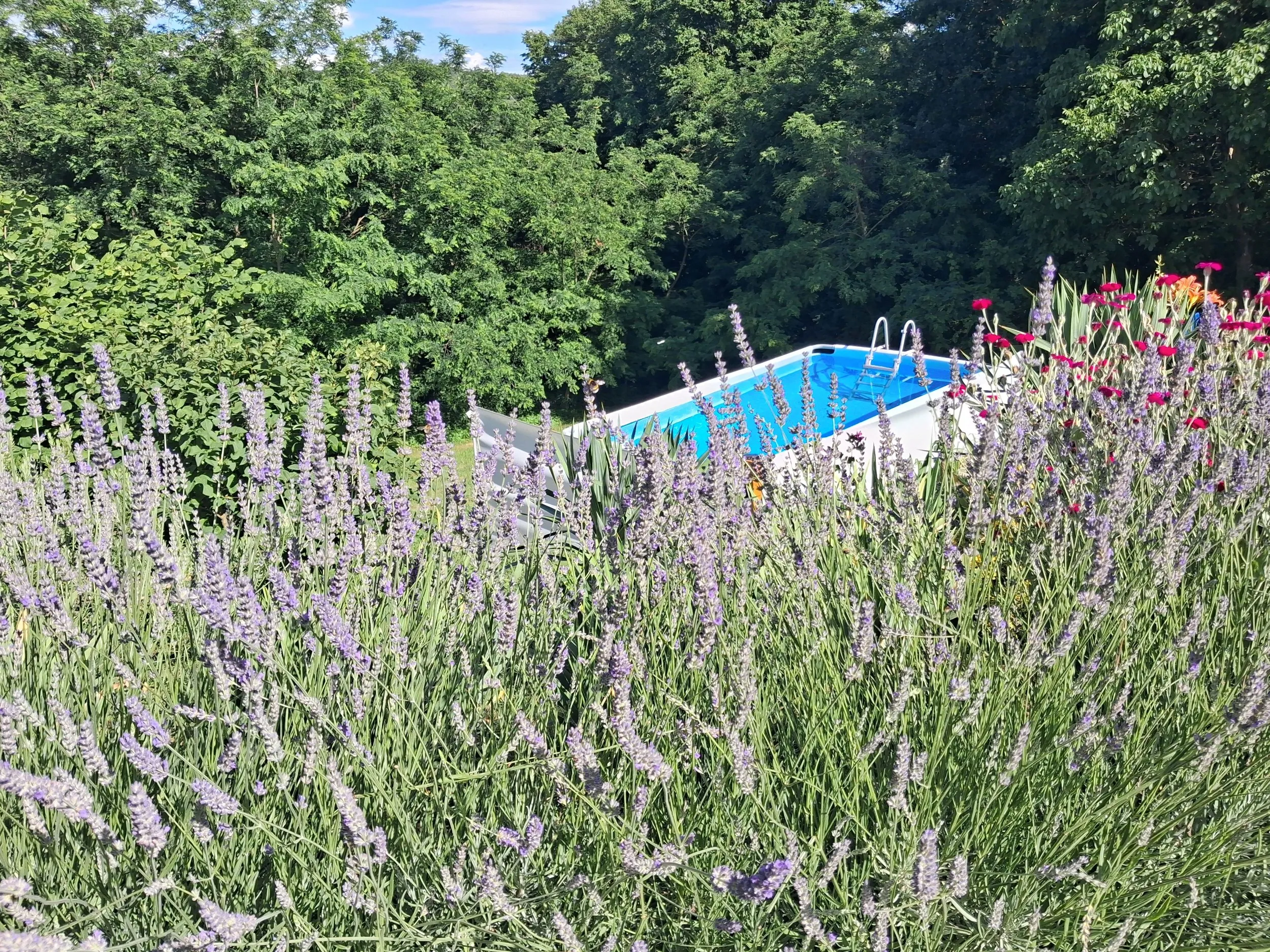 studio apartman stari breg,segovina - slika 17