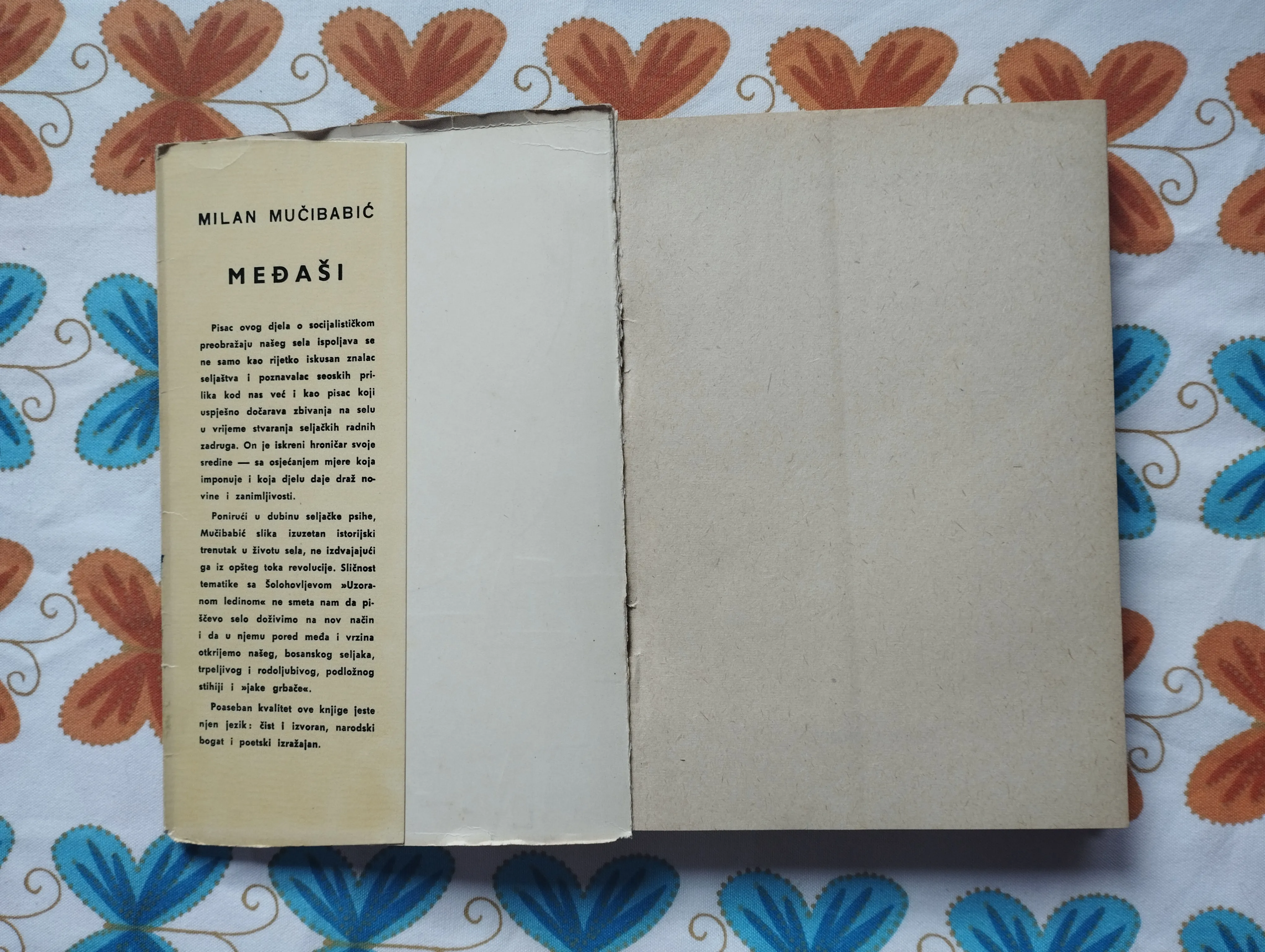 milan mučibabić - međaši - slika 4