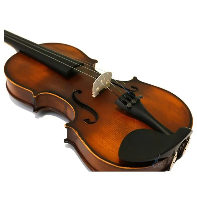 jq jvn-01b 4/4 violina - slika 4