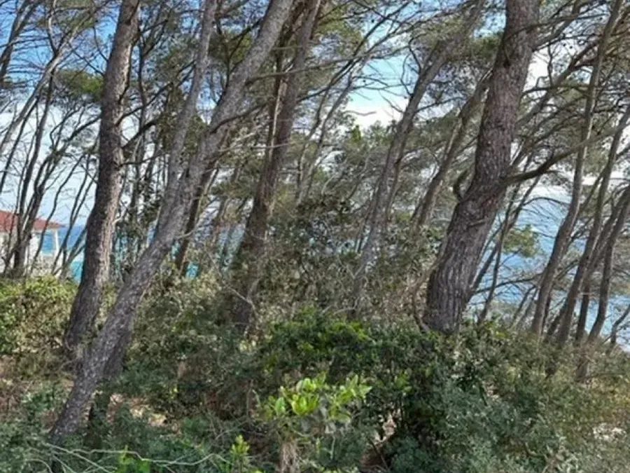 građevinsko zemljište na prodaju - vela luka - slika 7