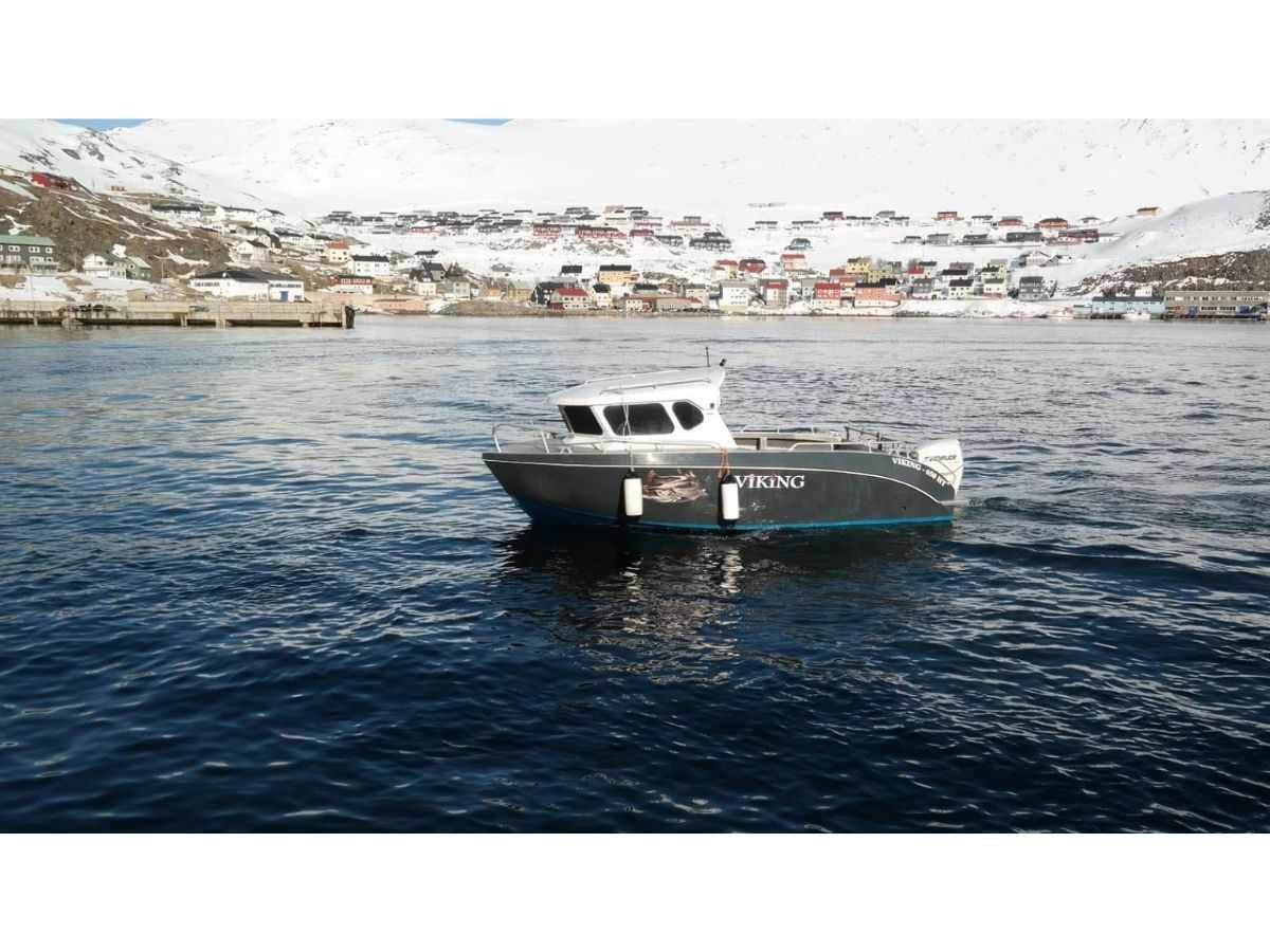 viking 650ht - slika 3