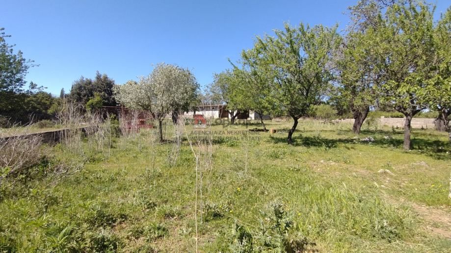 donja jagodnja - građevinsko zemljište 3021m2 - slika 3
