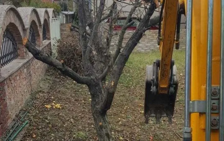 usluga iskopa mini bagerom - slika 8