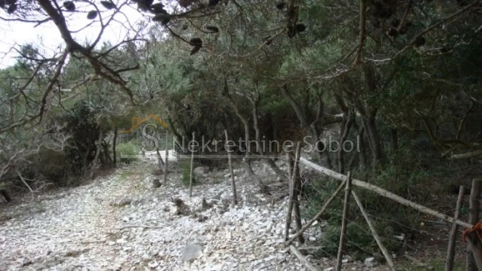 mali lošinj - poljoprivredno, 16951 m2 prodaja - slika 6