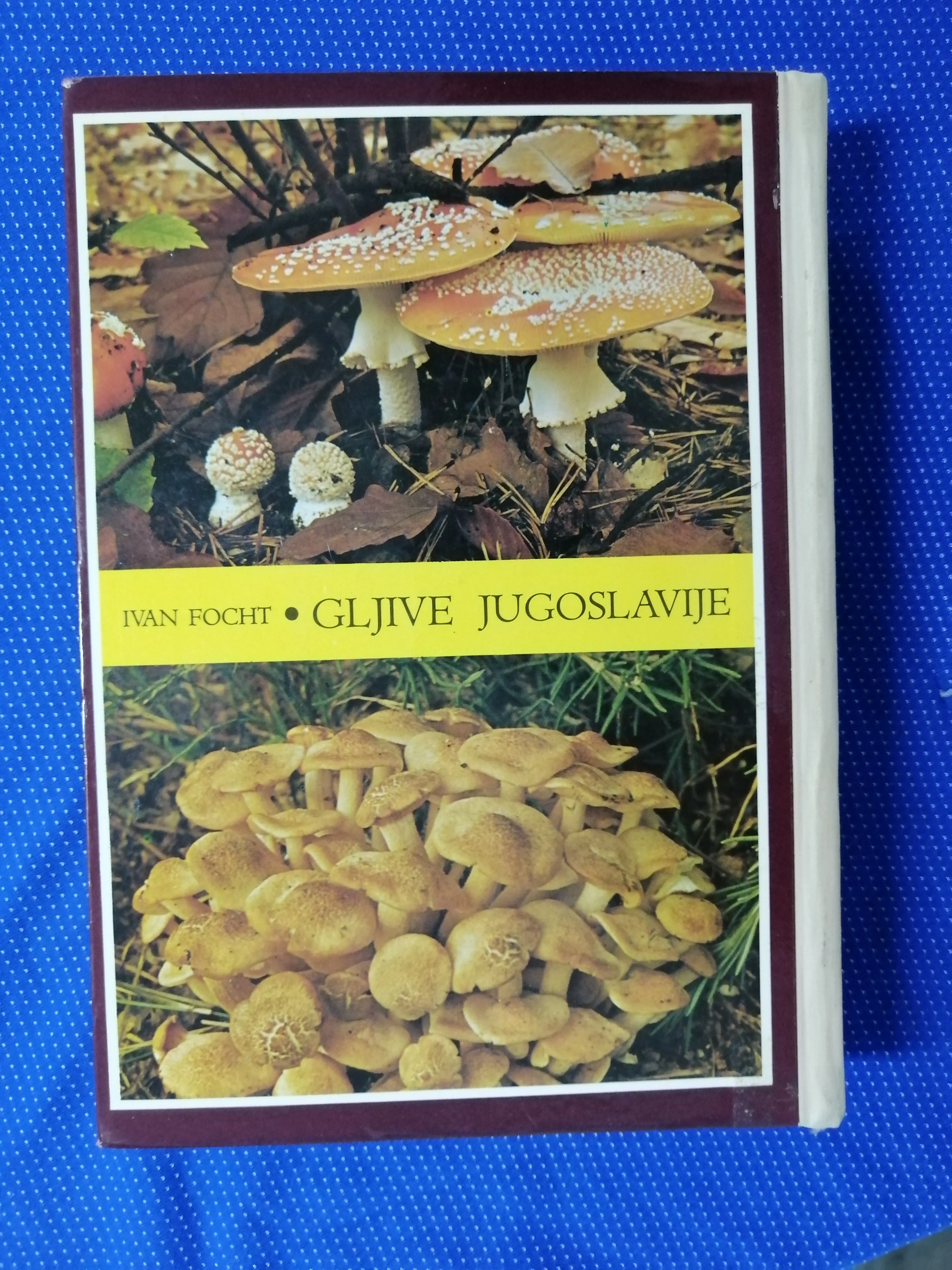 ivan focht – gljive jugoslavije i. - slika 6