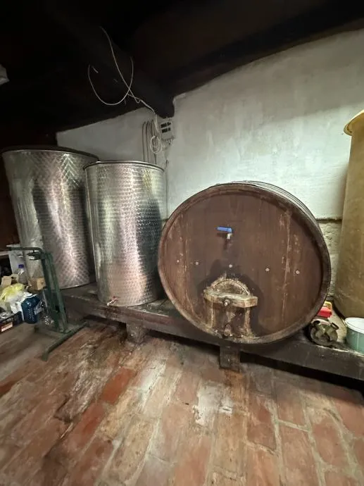 istra-malo selo s nagrađivanim vinom i maslinovim uljem (prodaja) - slika 13