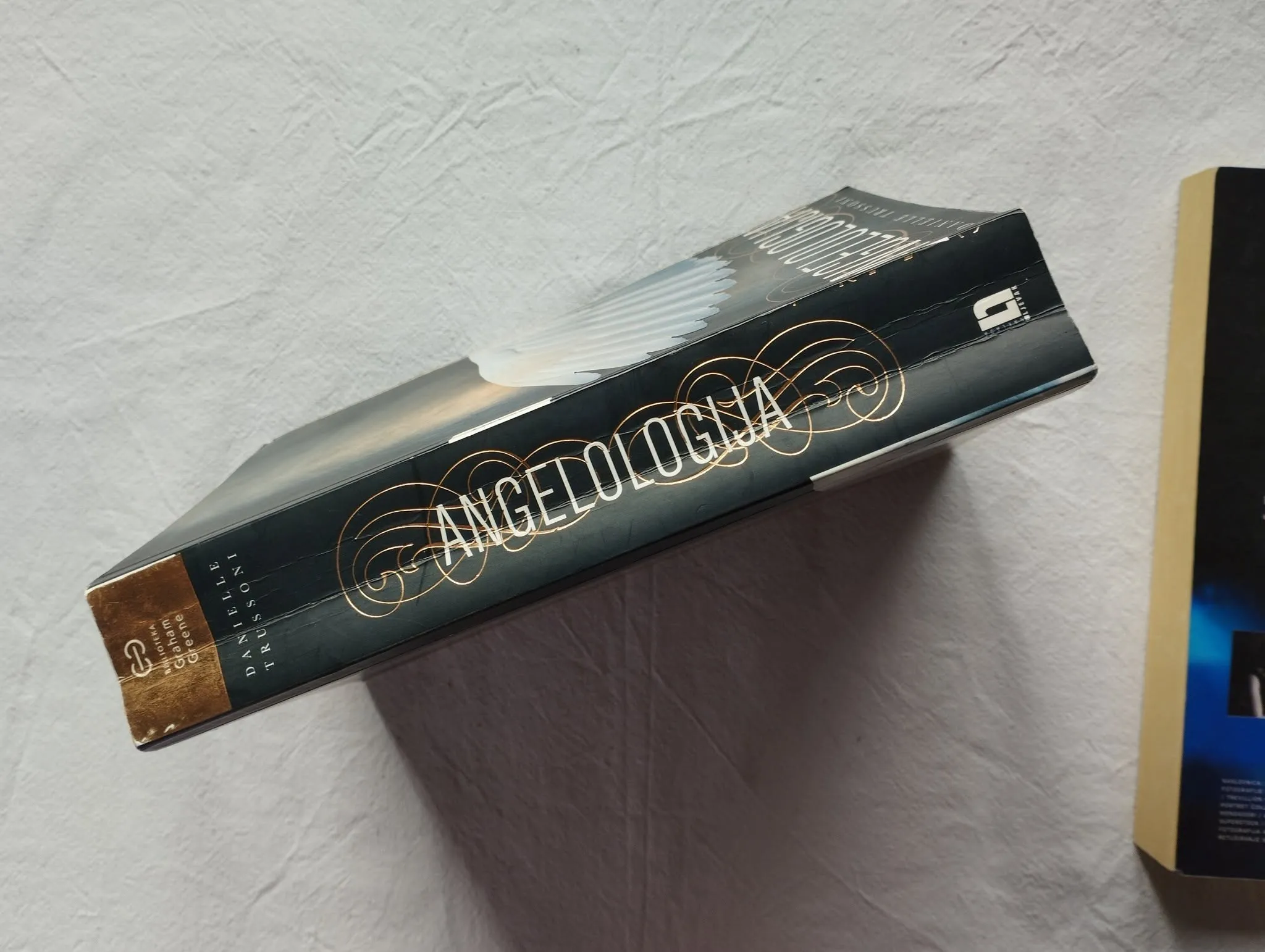 danielle trussoni - angelologija / angelopolis - slika 3
