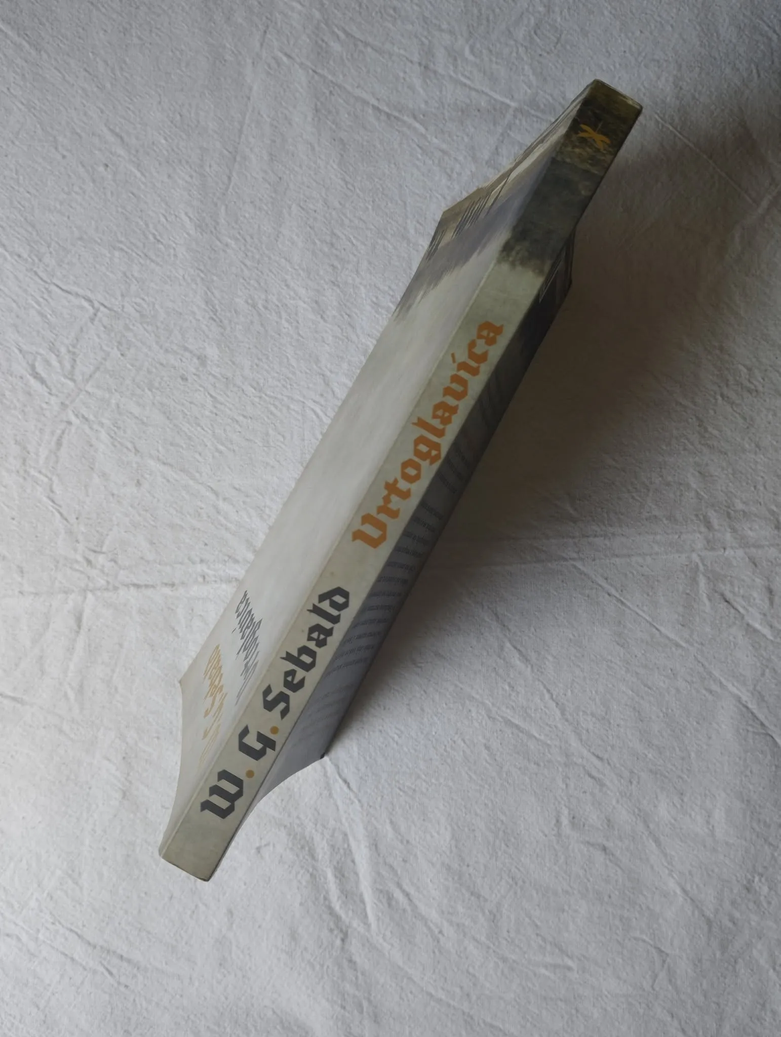 w.g.sebald - vrtoglavica - slika 3