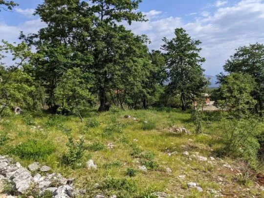 labin, zemljište s građevinskom dozvolom od 1236 m2, pogled na more - slika 3