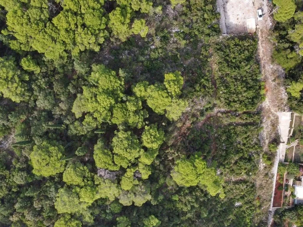 stan na prodaju - korčula - slika 24