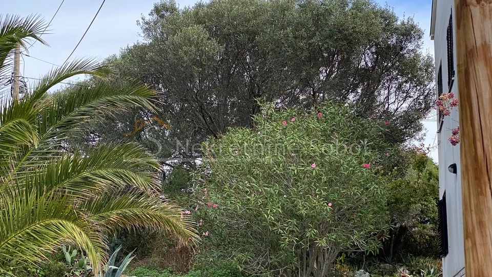 mali lošinj - kuća, 467.64 m2 prodaja - slika 7