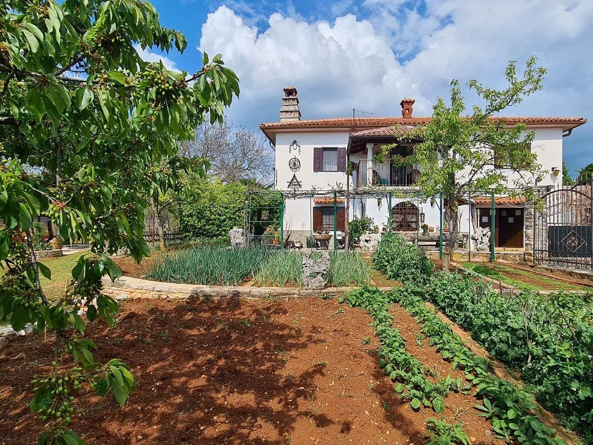 oprtalj okolica -kuća sa velikim vrtom na prodaji (prodaja) - slika 11