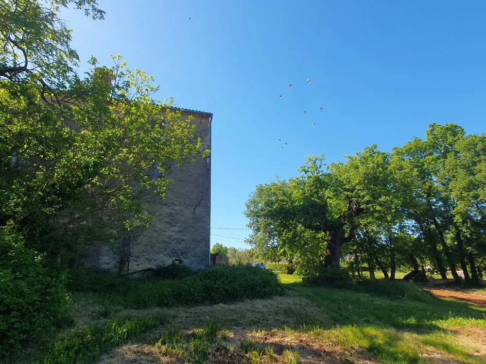 vižinada, imanje s kućom od 180 m2 i zemljištem 35380 m2, kop-740 - slika 4