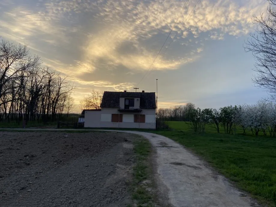 kuća: vuka, osijek, prizemnica, 115.00 m2 - slika 2