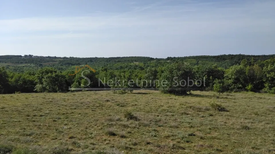 višnjan, zoričići - zemljište, 62710 m2 prodaja - slika 14