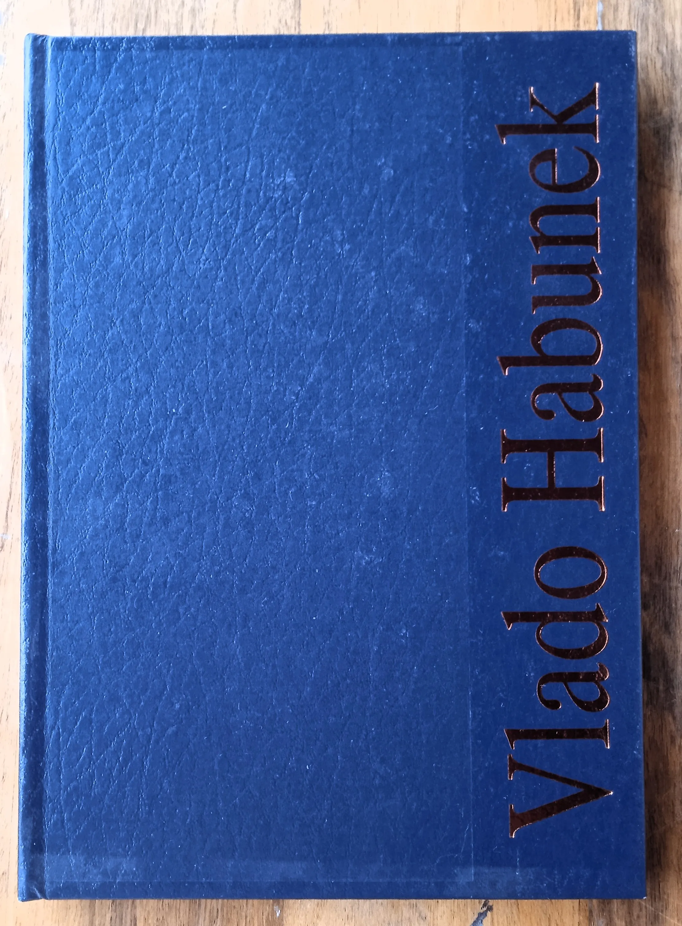 VLADO HABUNEK Vitomira Lončar MONOGRAFIJA - Sisak