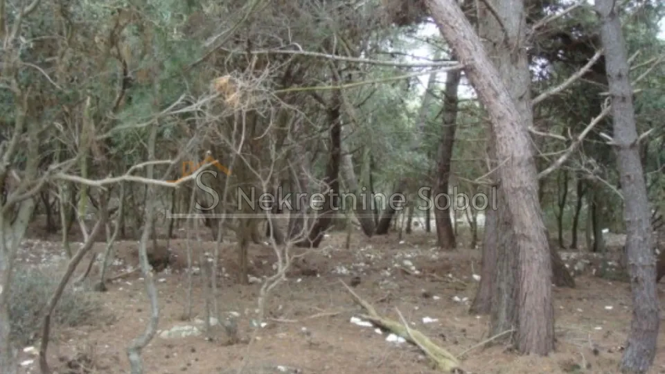mali lošinj - poljoprivredno, 16951 m2 prodaja - slika 10
