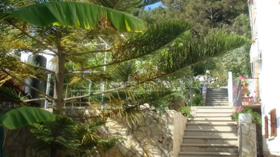 mali lošinj - kuća (vila), 700 m2 prodaja - slika 10