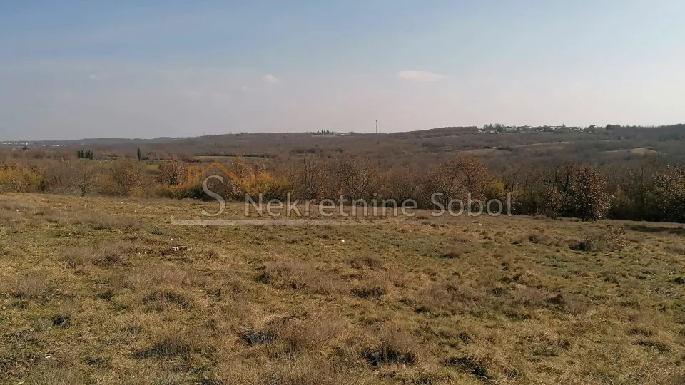 višnjan, zoričići - zemljište, 62710 m2 prodaja - slika 6