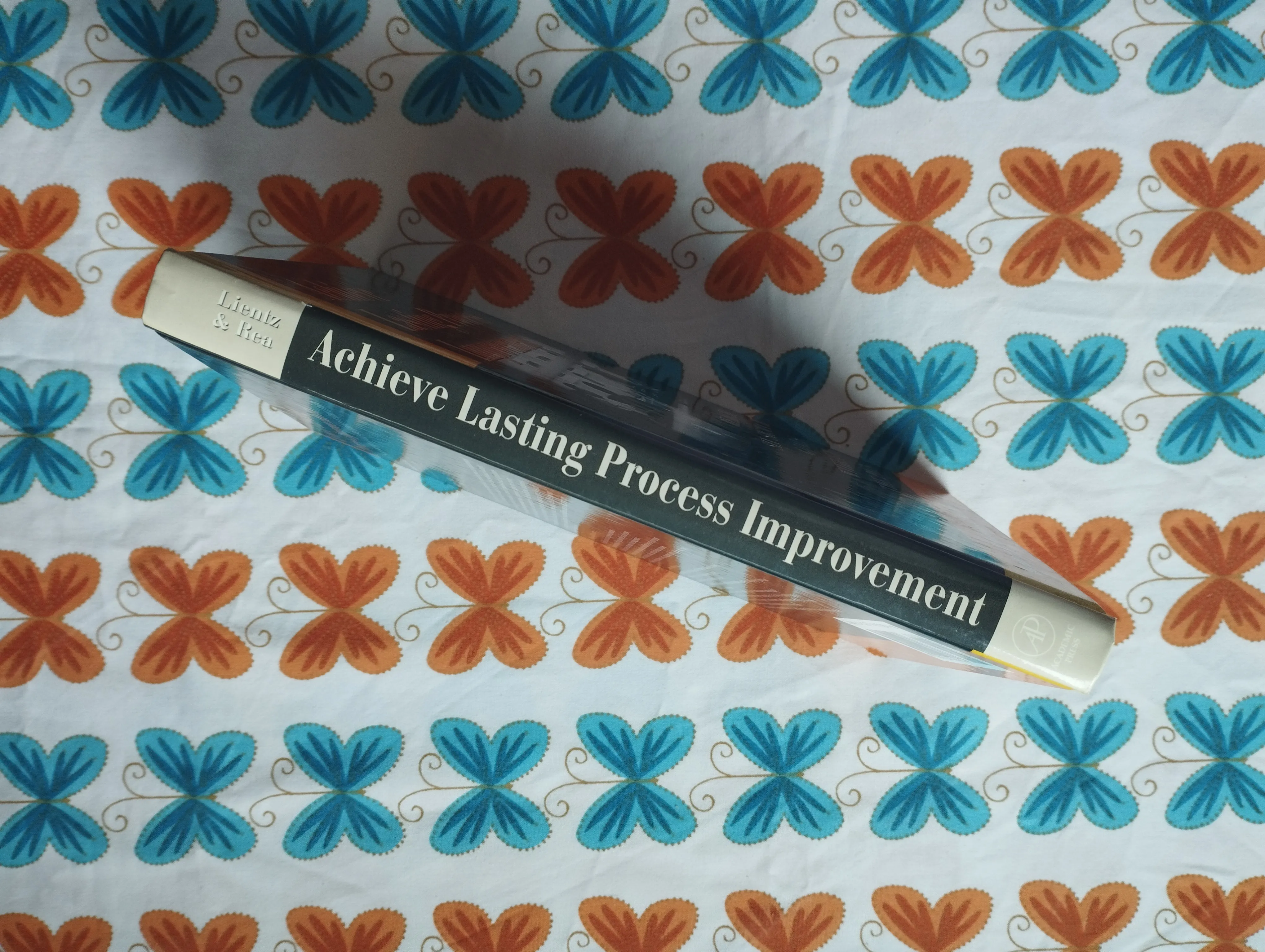 lientz, rea - achieve lasting process improvement - slika 2