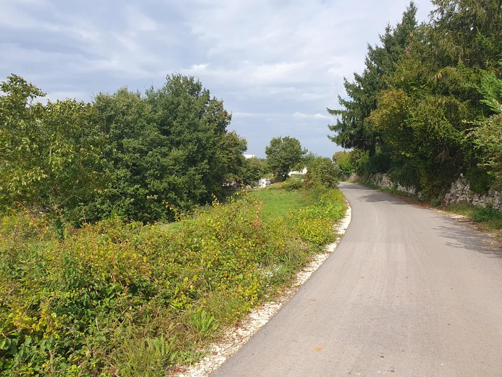 prodaja, građevinsko zemljište, sveti petar u šumi, 1522 m2 (z-661) - slika 14