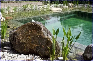 naturpools - slika 3