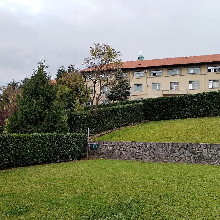 košnja trave i uređenje travnjaka – brzo i uredno - slika 4