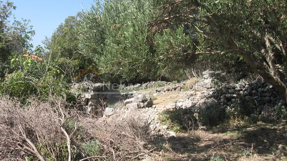 ustrine, otok cres - kuća (ruševina), 92 m2 prodaja - slika 8