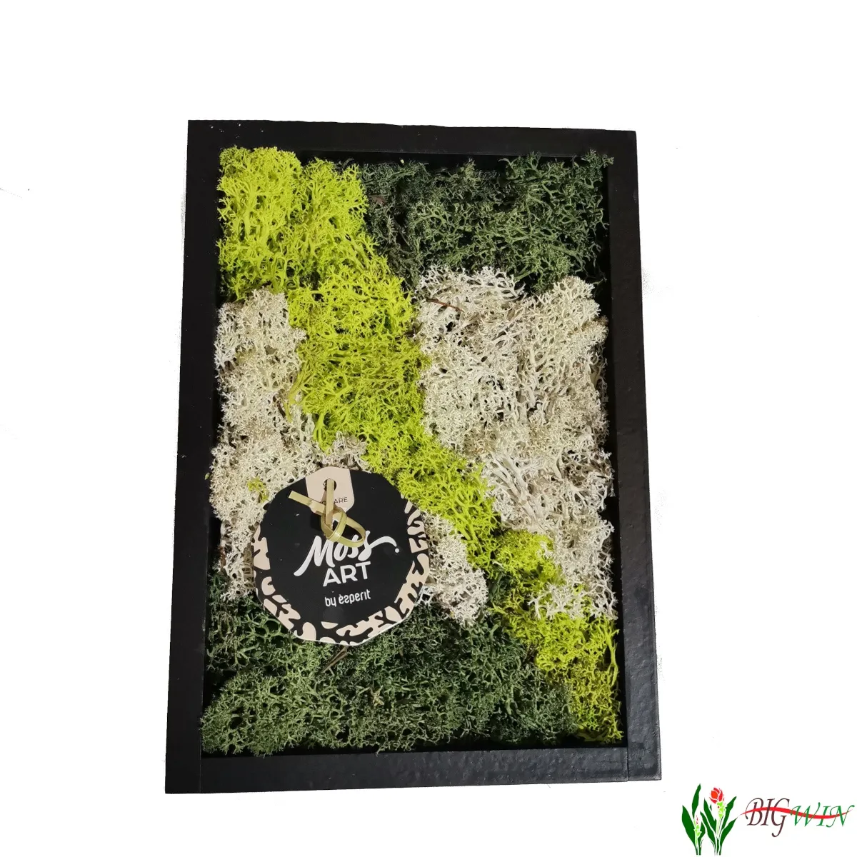 compo moss art - slika 2