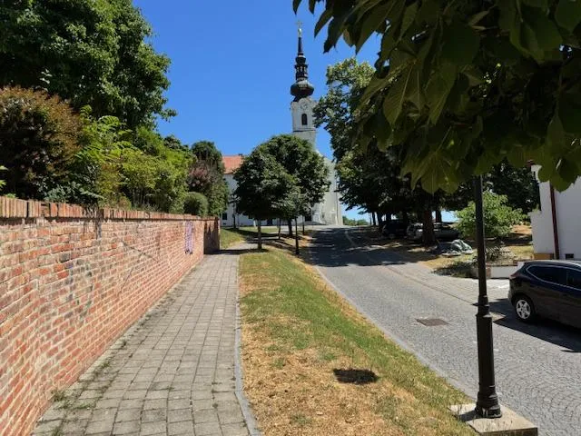 667. vukovar centar samostanska 16 secesija izuzetna lokacija i stambe - slika 2