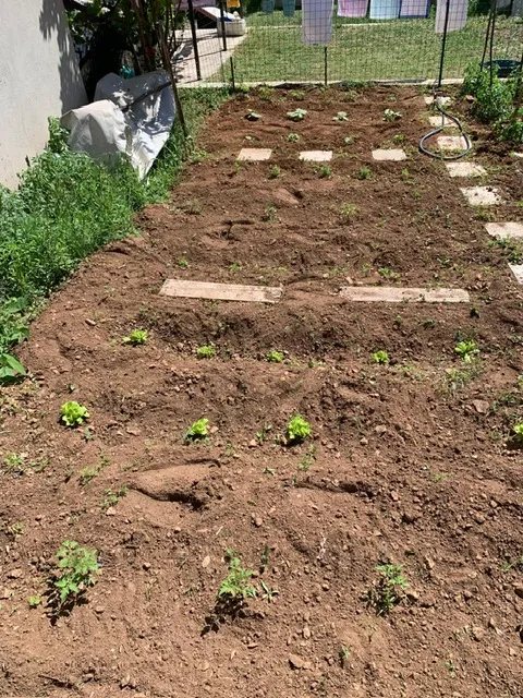 prodaja kuće i građevinskog zemljišta - slika 5