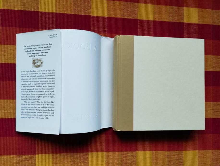 sophy burnham - a book of angels - slika 5