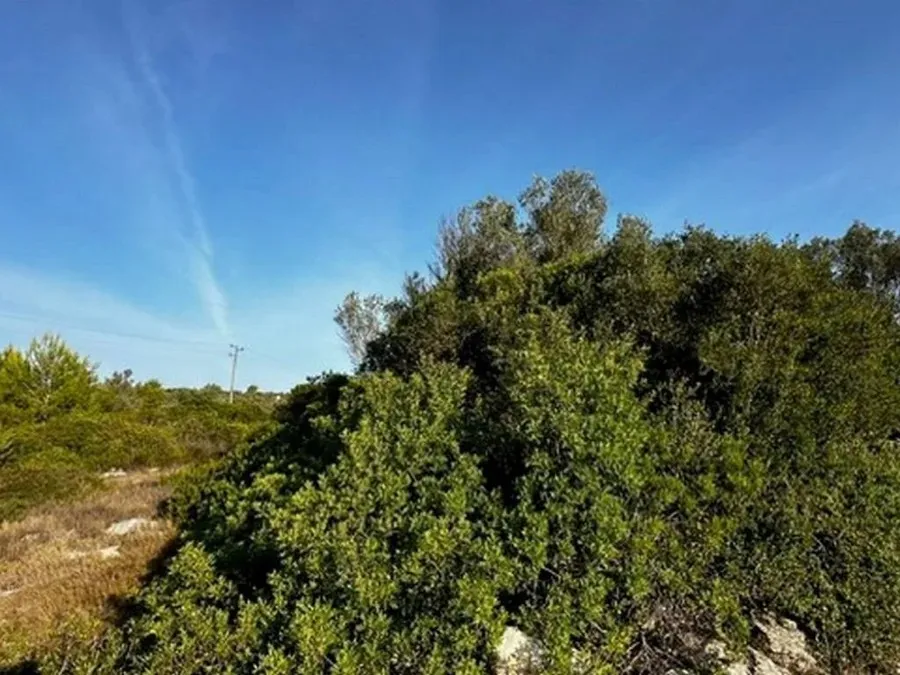 poljoprivredno zemljište na prodaju - vela luka - slika 15