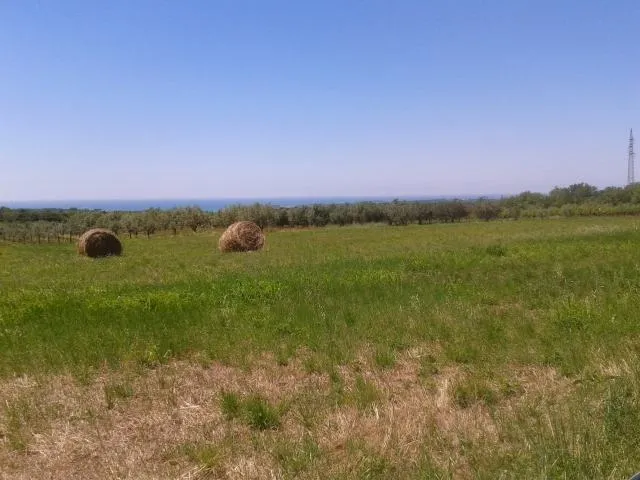 poljoprivredno zemljište za sadnju maslina - slika 2
