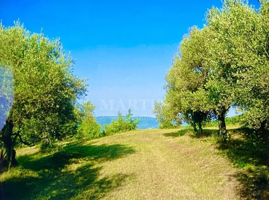 prilika! građ. zemljište, istra-draguć, 2257m2 - slika 2