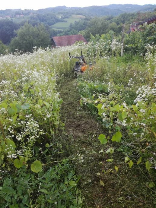 košnja trave 095/333-4444 - slika 16
