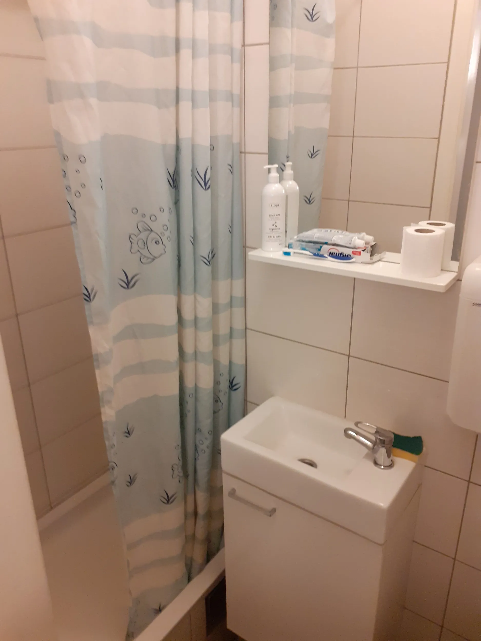 garsonjera 25 kvadrata - slika 5