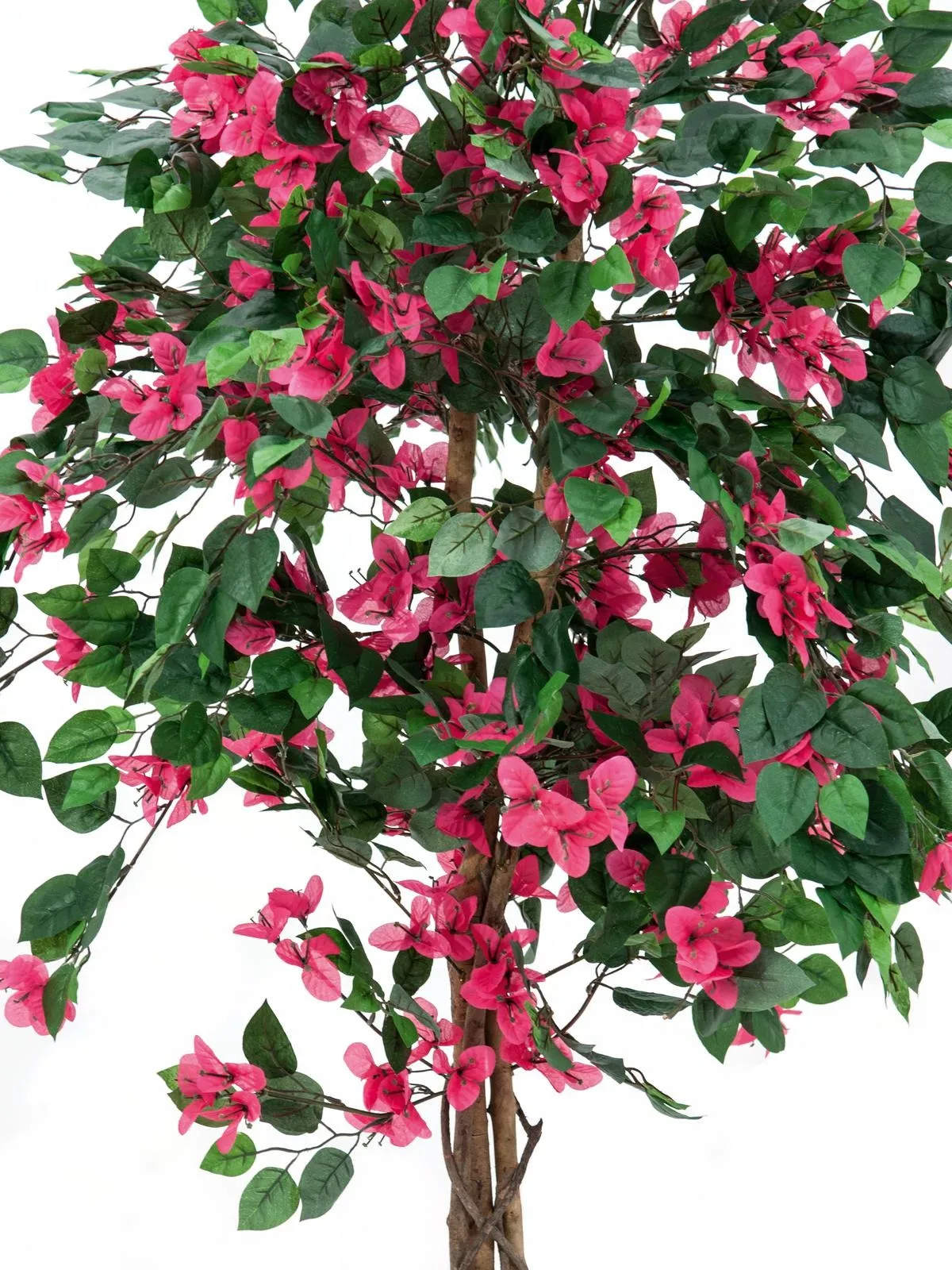 europalms bougainvillea, red, 150cm - slika 2
