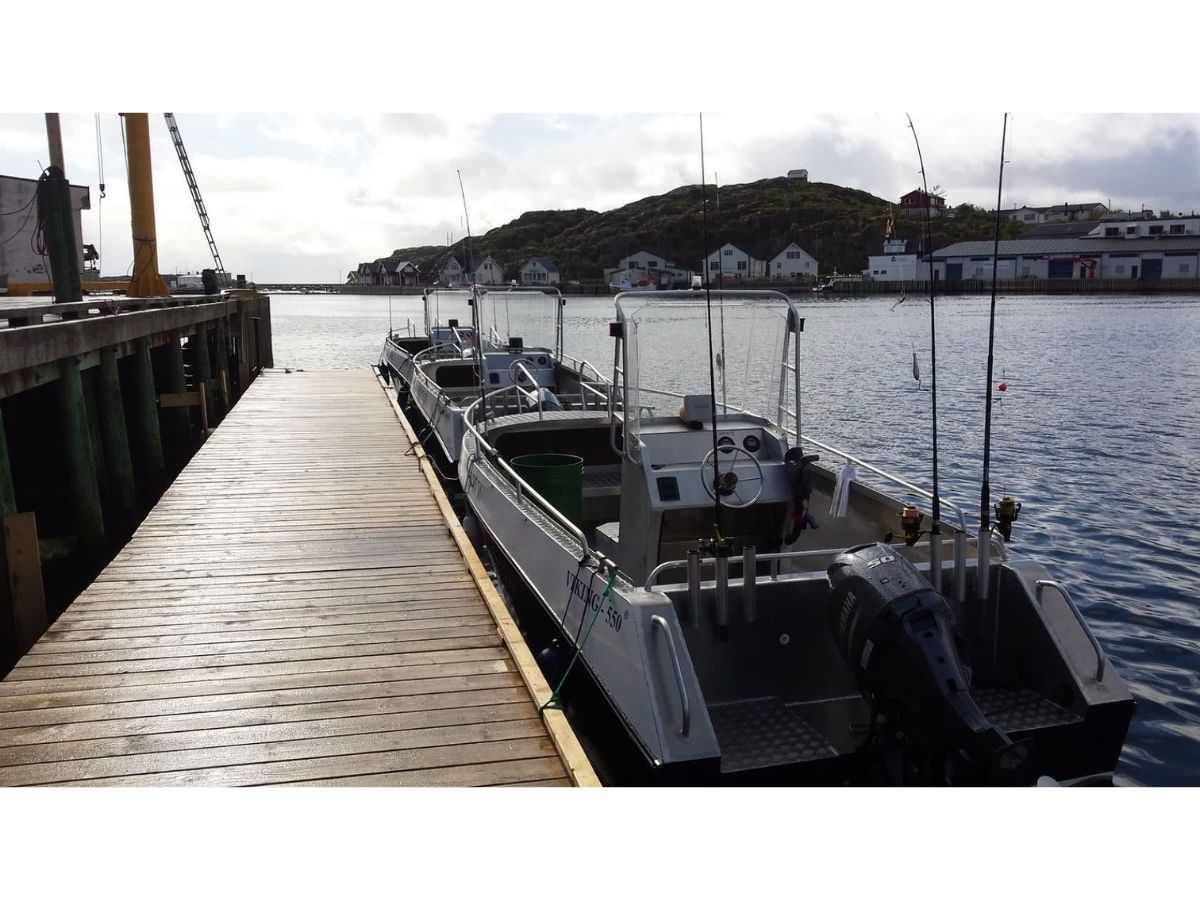 viking 550c - slika 7
