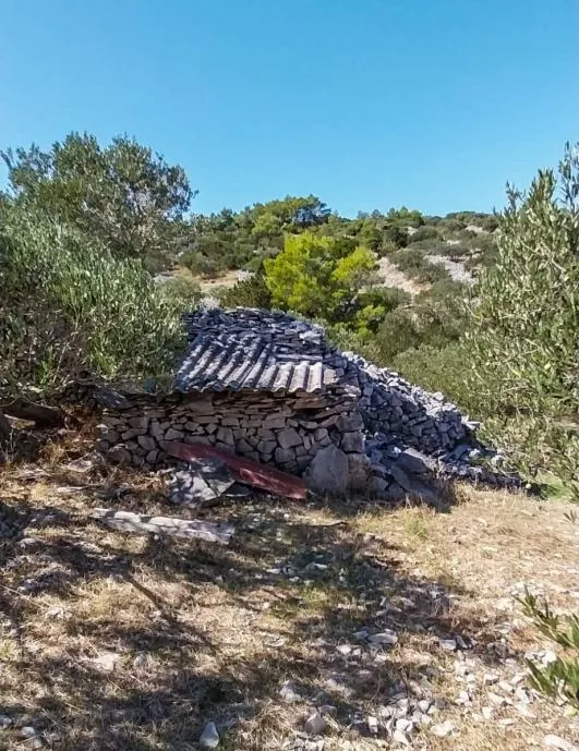povlja, brač – maslinik s 50 odraslih maslina s pogledom na more - slika 2