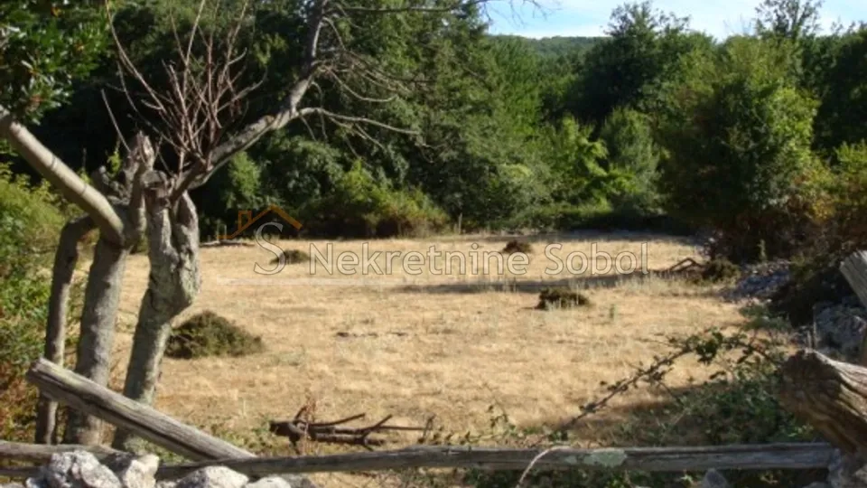 cres, beli - kuća, 567 m2 prodaja - slika 5