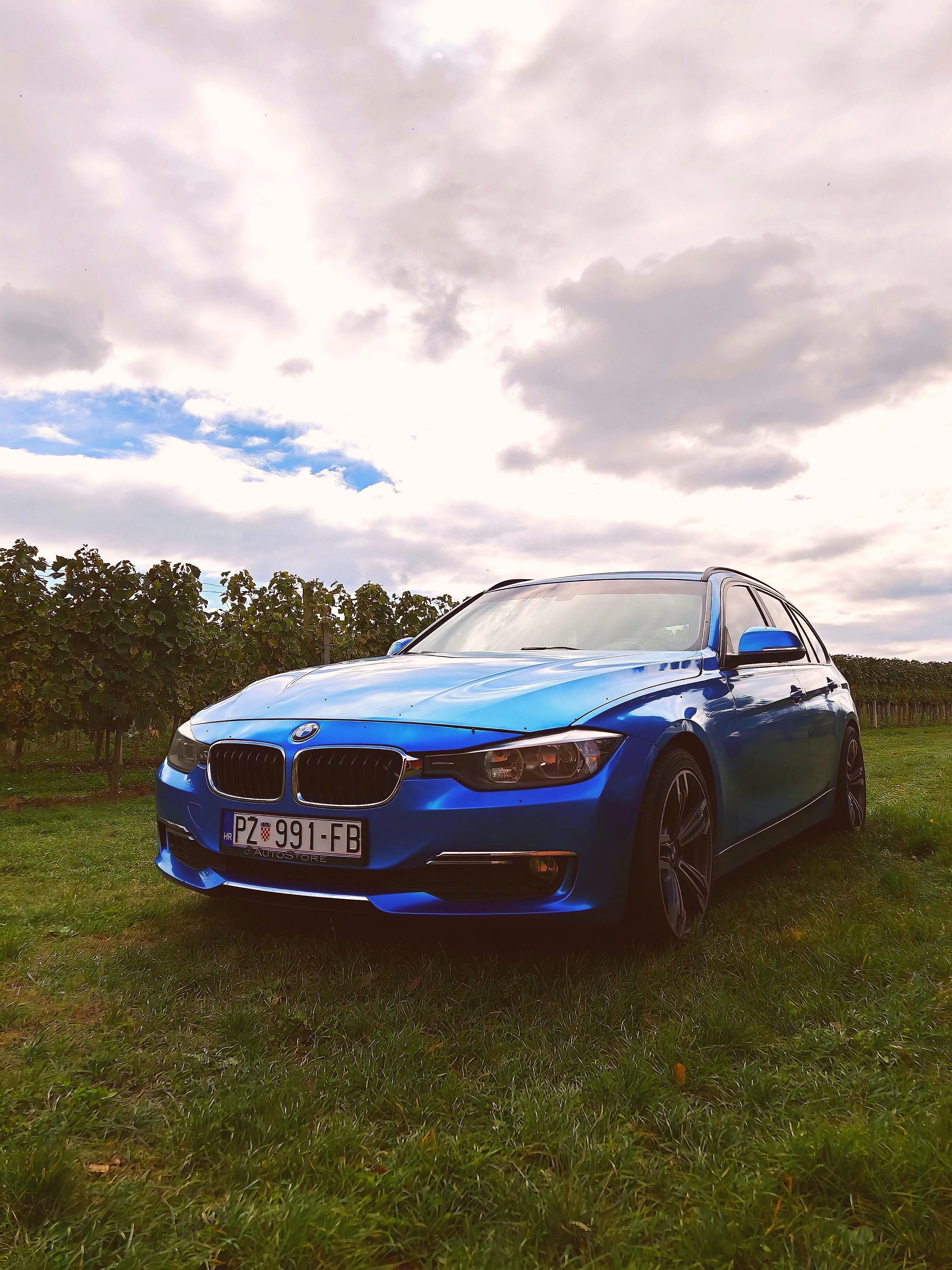 bmw f31 318da efficientdynamics, luxury line individual 2014 - slika 25