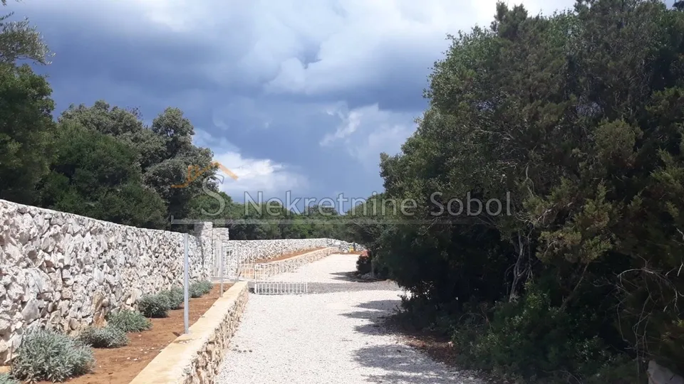 otok cres, punta križa - poljoprivredno, 14603 m2 prodaja - slika 4
