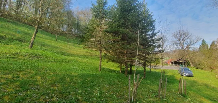poljana sutlanska, drv. kućica i započ.gradnja kuće na imanju 11600m2 - slika 11