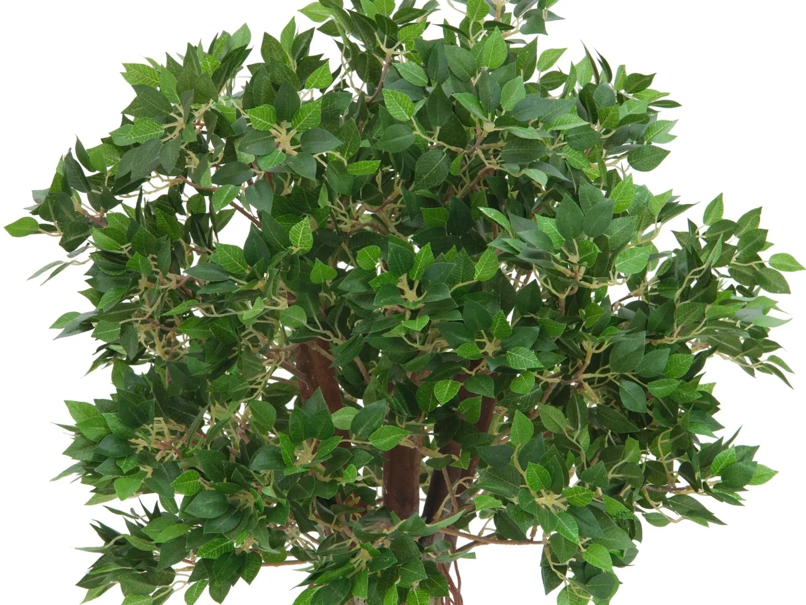 europalms ficus ball tree, 100cm - slika 2