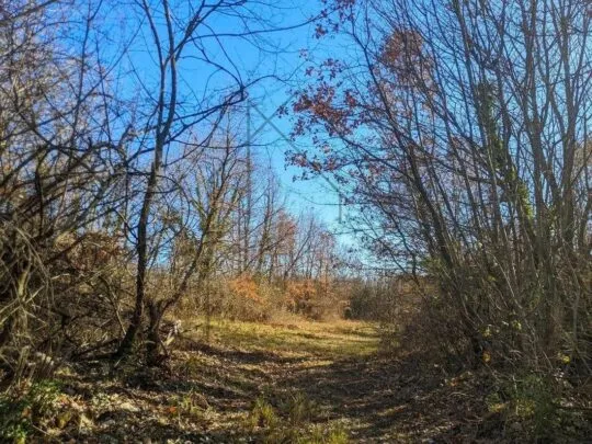 istra, labin, poljoprivredno zemljište 7377 m2 - slika 4