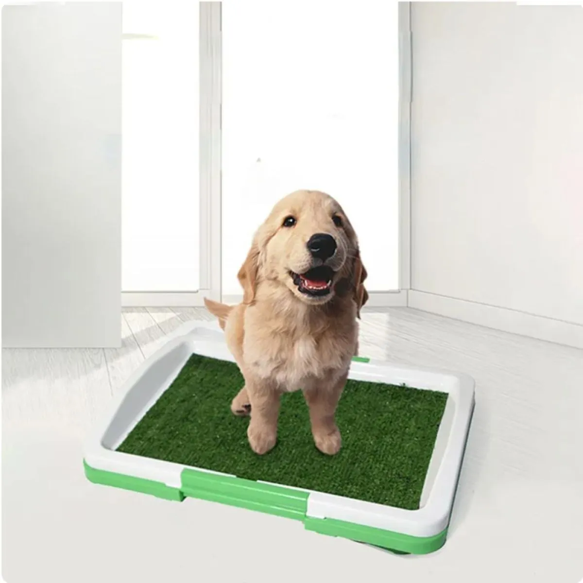 wc ili toalet za pse green trainer - slika 5
