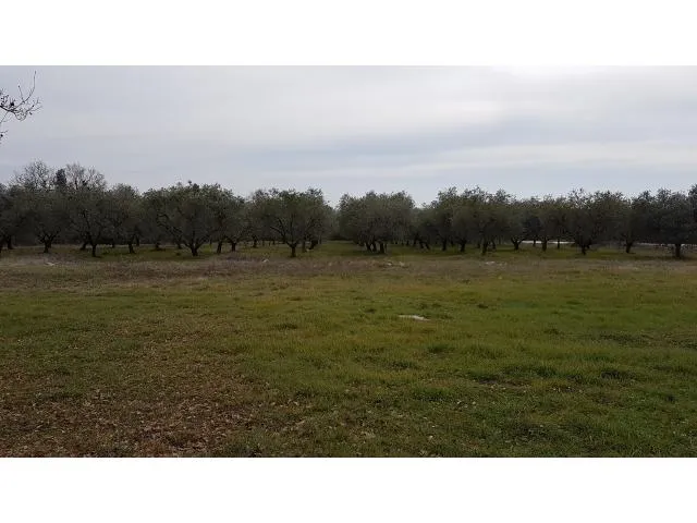 tar-građevinsko zemljište na prodaji pogled more - slika 2