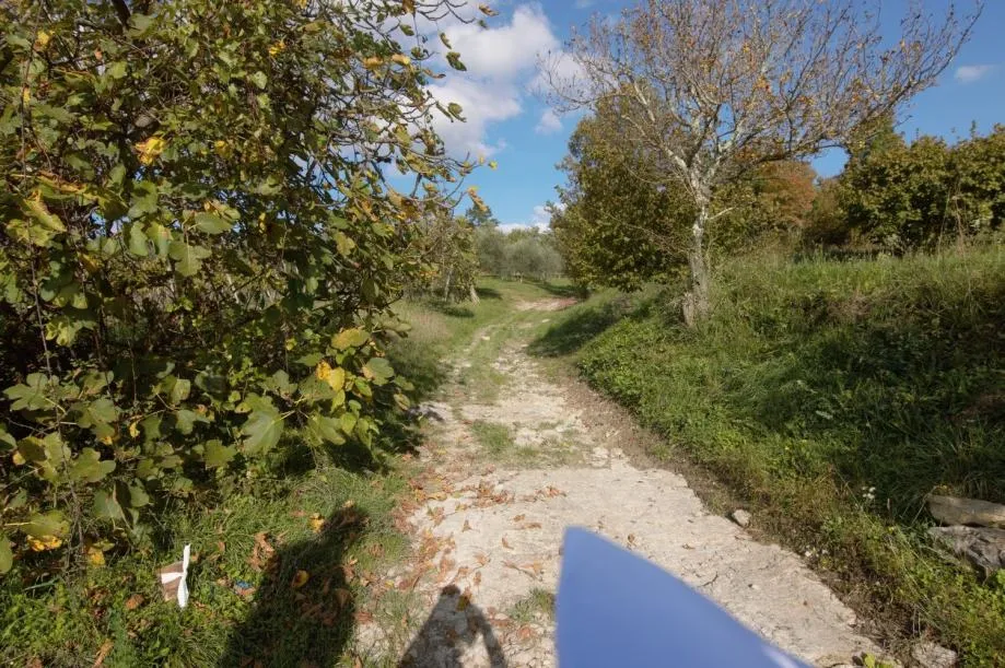 buzet okolica- građevinska parcela sa poljoprivrednim zemljištem na p - slika 6
