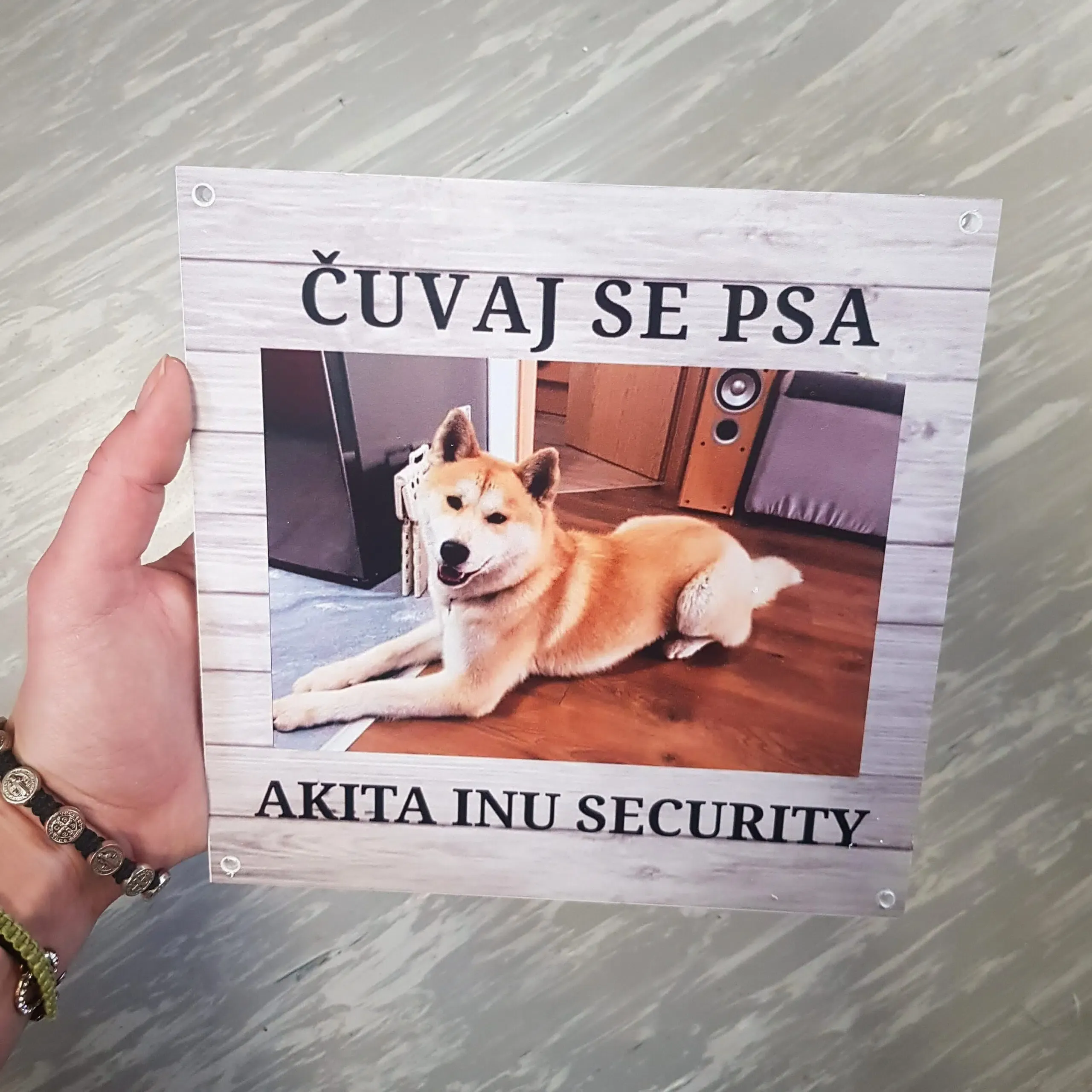 table oštar pas - slika 4